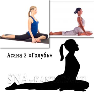Ozdorovlenie-i-omolozhenie-organizma-asana-golub